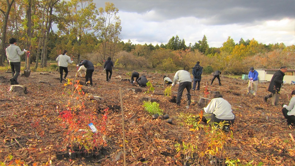 [image]Planting Trees by Employees