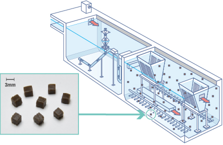 Image: Standard structural diagram