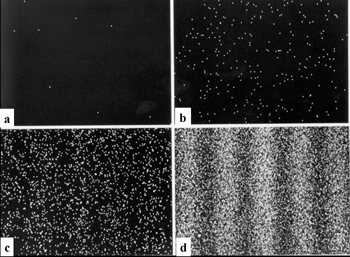 Fig. 2 Single electron events build up to from an interference pattern in the double-slit experiments.